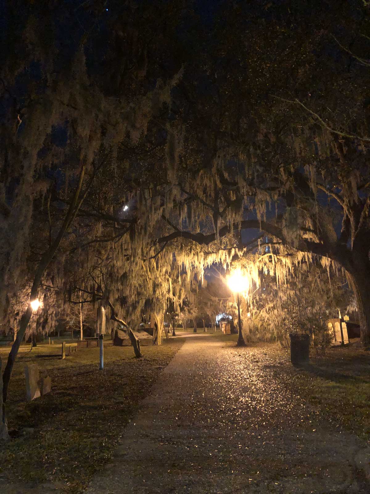 spooky evening scene in Savannah
